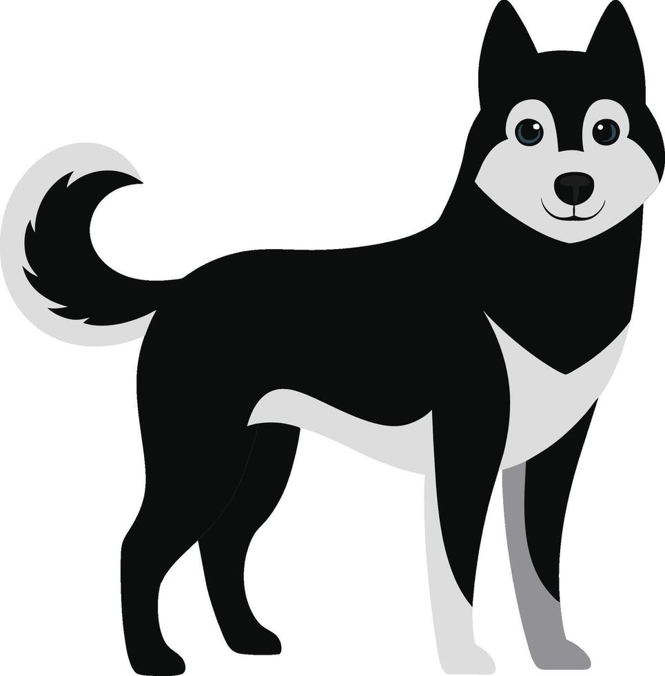 cute husky dog pet vector illustration