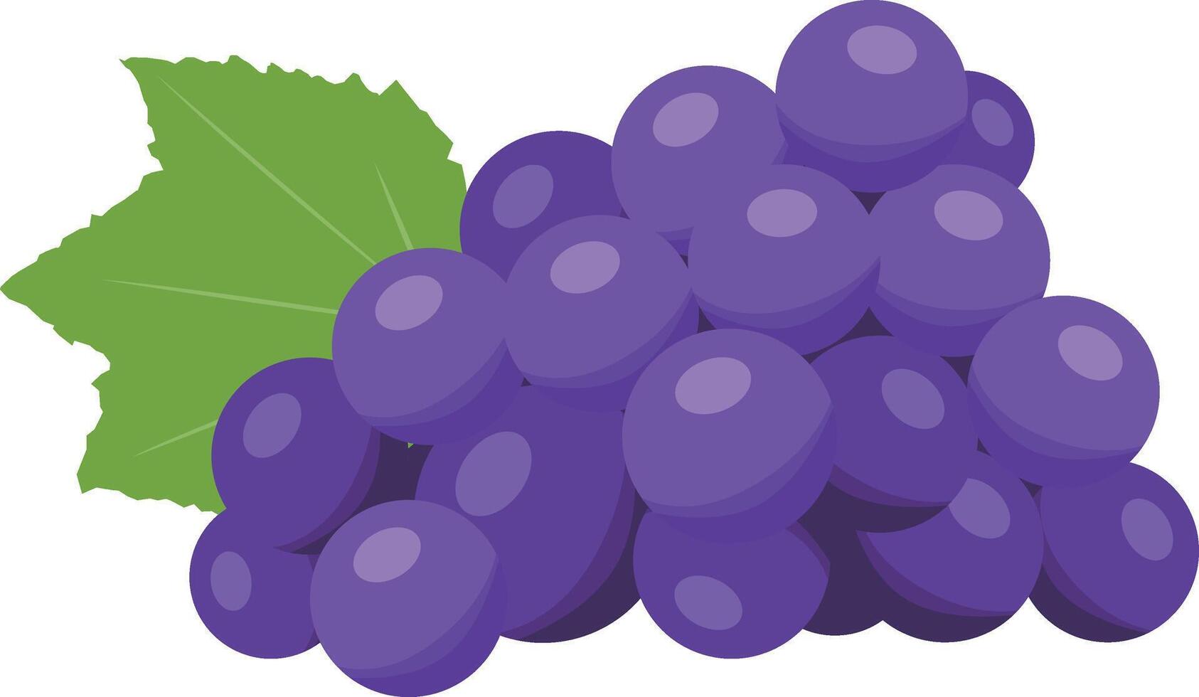 Vector bunch of grapes with leave