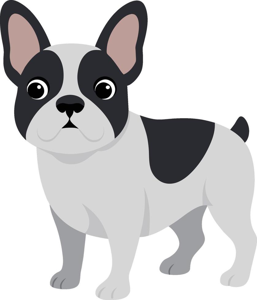 pet french bulldog vecor illustration vector