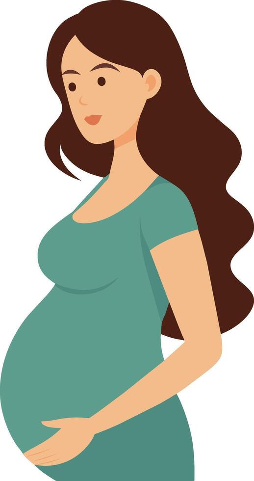 A beautiful pregnant woman hugs her belly vector