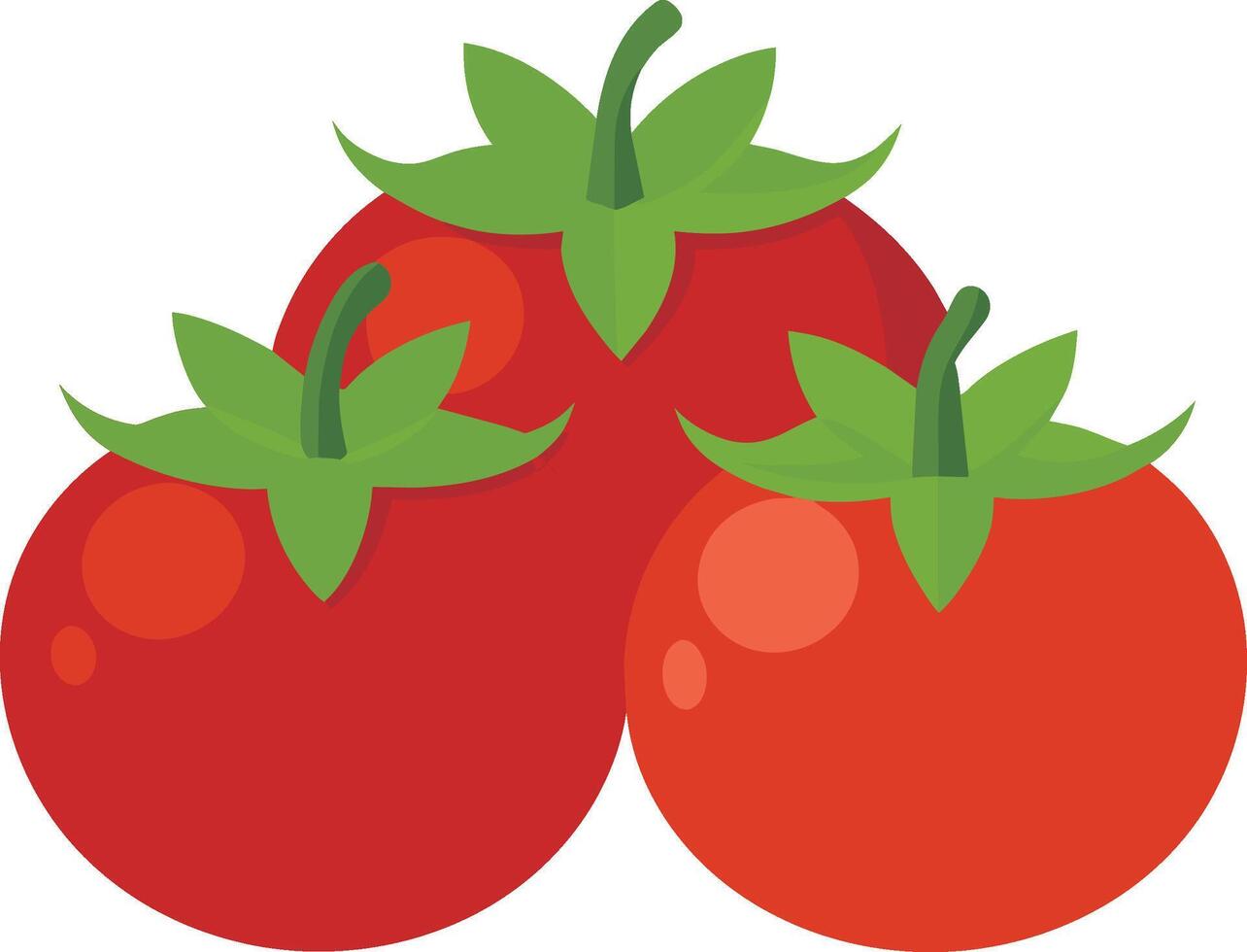 Fresh red tomatoes on white background vector illustration