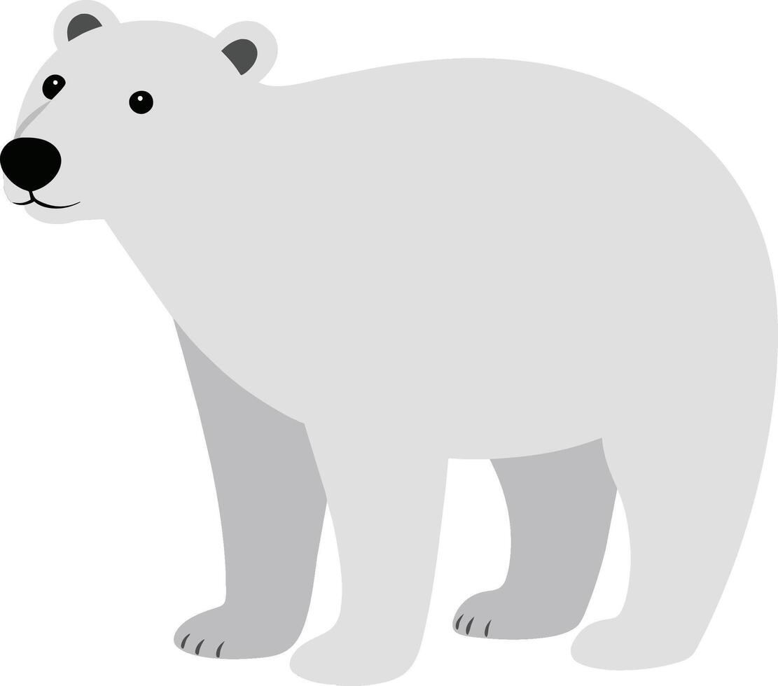 Vector polar bear minimalist style illustration