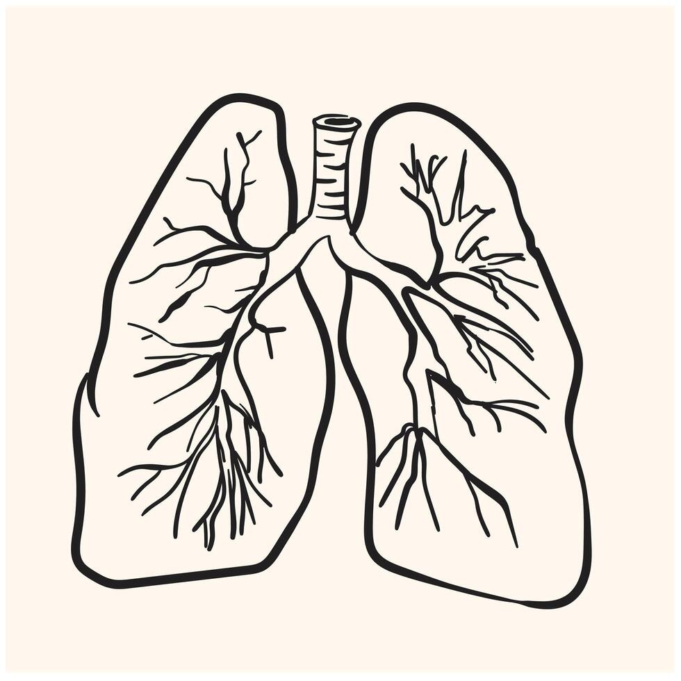 lungs doodle drawing, Medical with illustration style doodle and line art vector