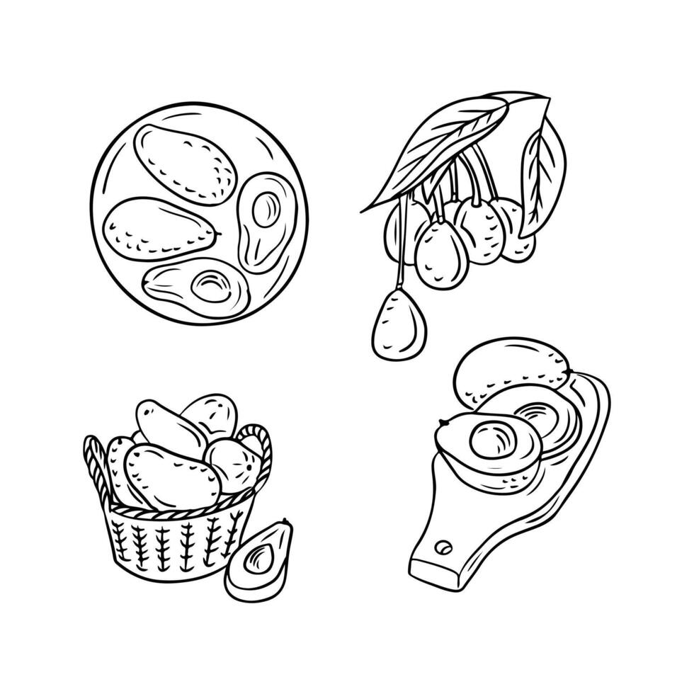 Collection of hand drawn doodle outline avocados. Black sketchy drawing isolated on white background. Healthy eating concept. Ideal for coloring pages, tattoo, pattern vector