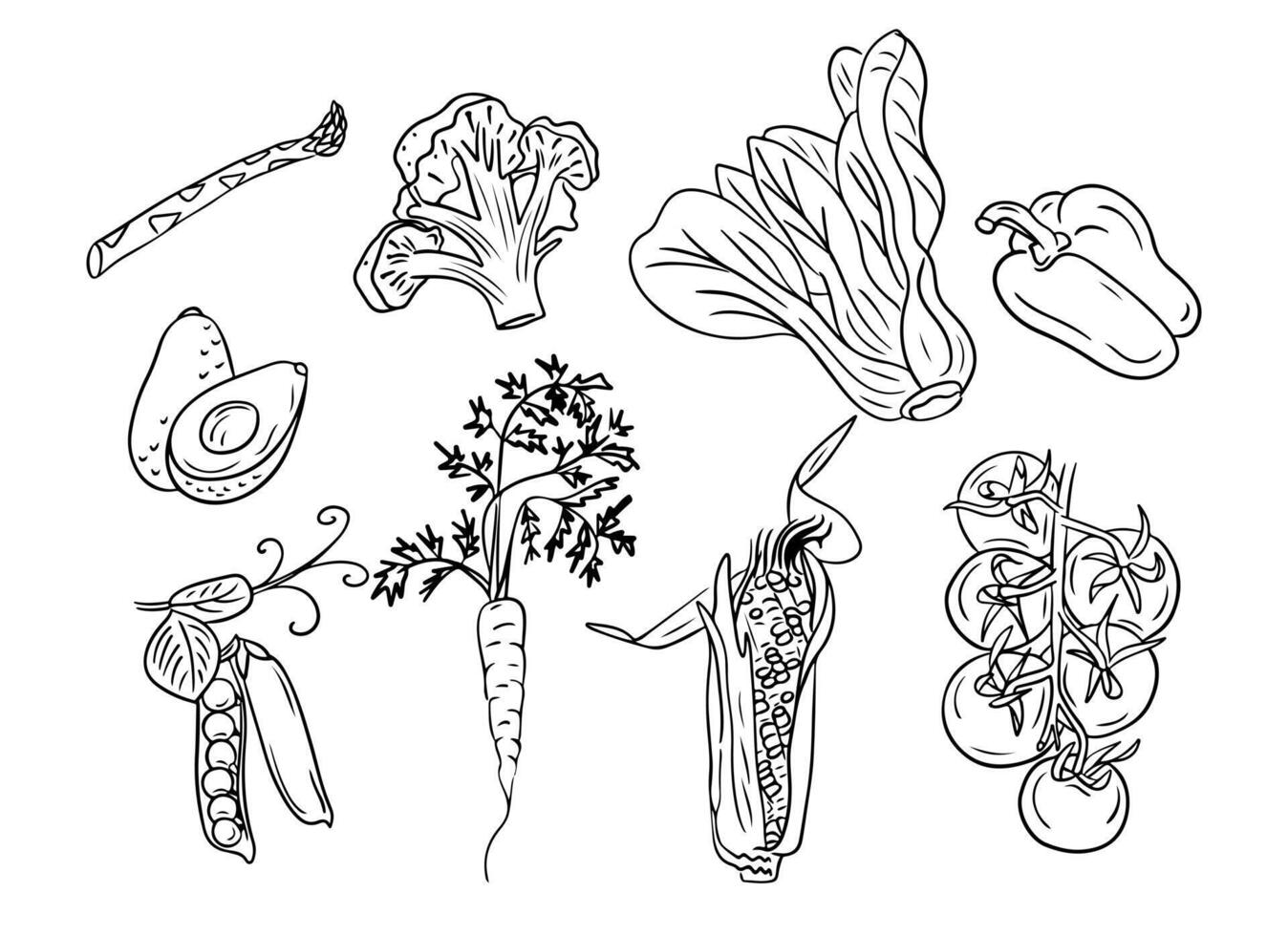 Black and white sketchy drawings of vegetables. Doodle contour vegetables for healthy eating on white background. Ideal for coloring pages, tattoo, pattern vector