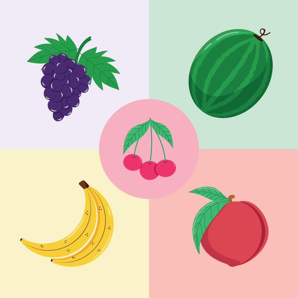 Fruit collection vector