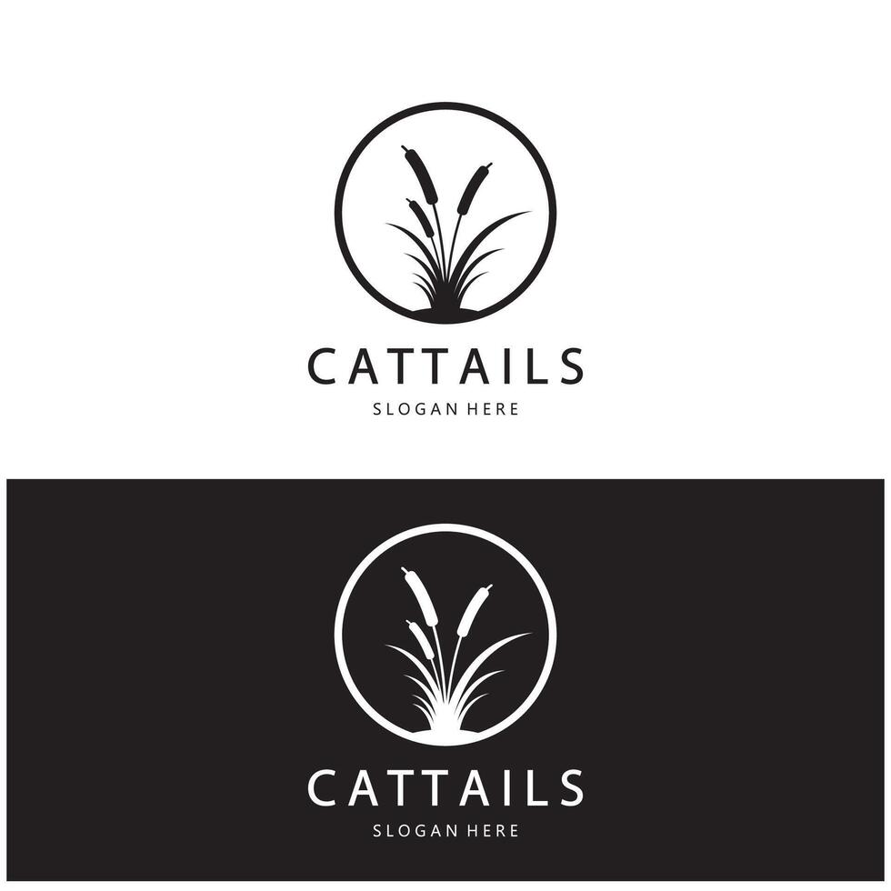 cattails or river reed grass plant logo design, aquatic plants, swamp, wild grass vector