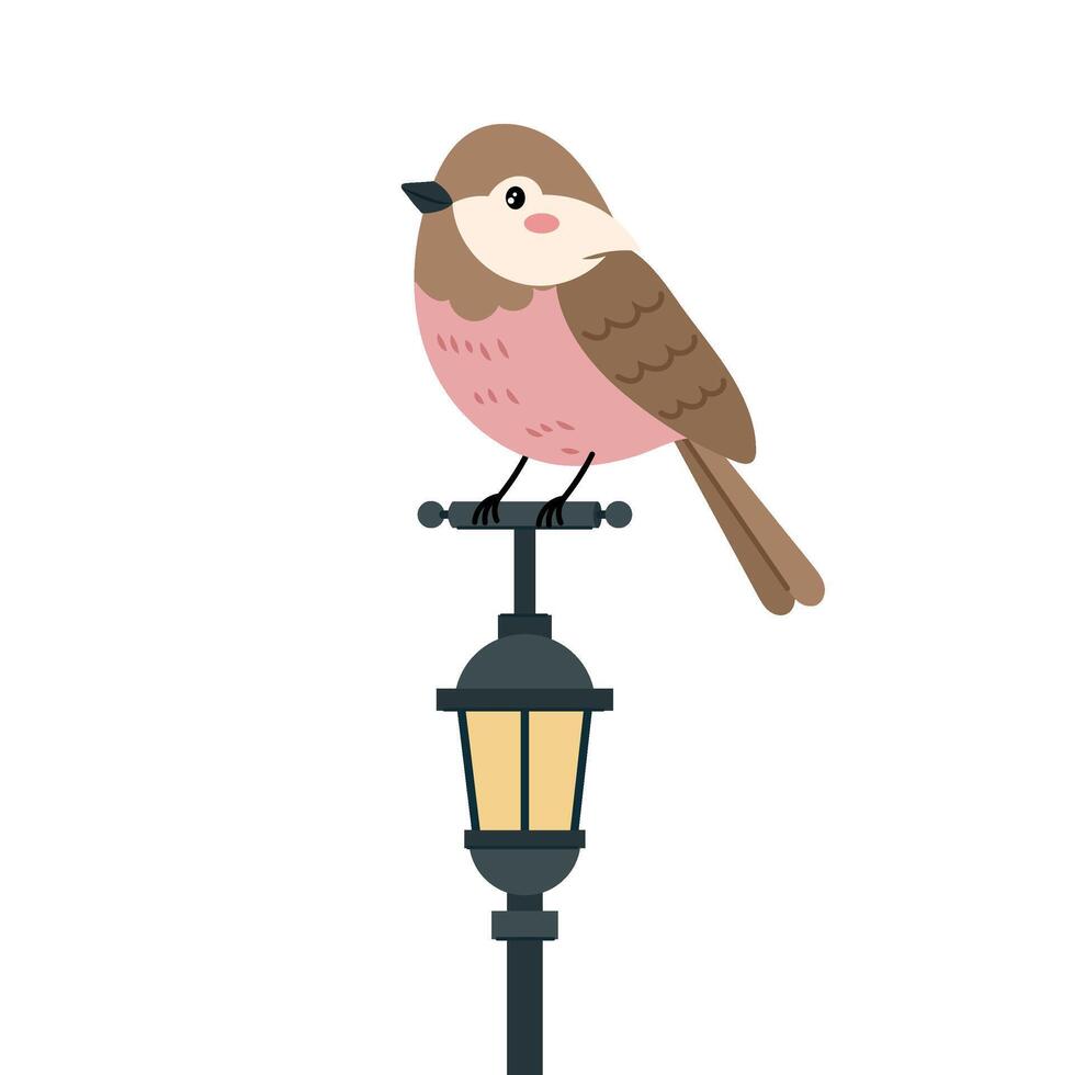Vector illustration of a bird on a street lamp. Bird in flat style on a white background. Lantern vector illustration. Spring decor.