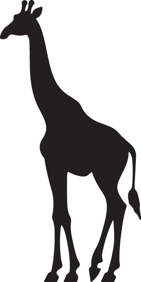 Giraffee Silhouette Vector Illustration White Background