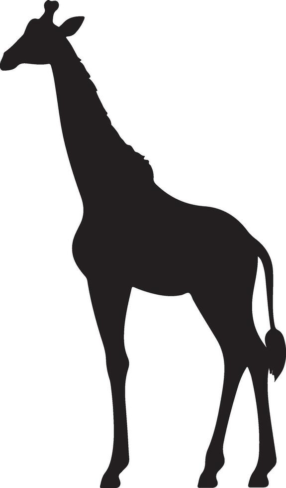 Giraffee Silhouette Vector Illustration White Background