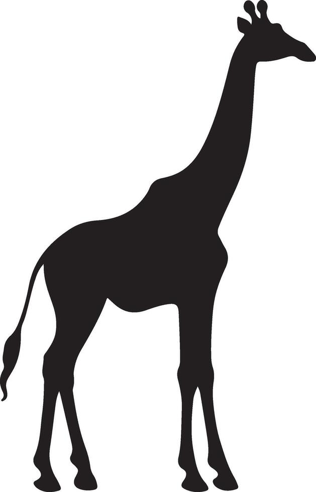 Giraffee Silhouette Vector Illustration White Background