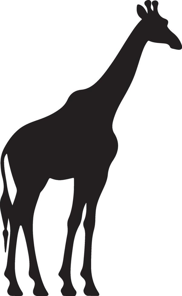 Giraffee Silhouette Vector Illustration White Background