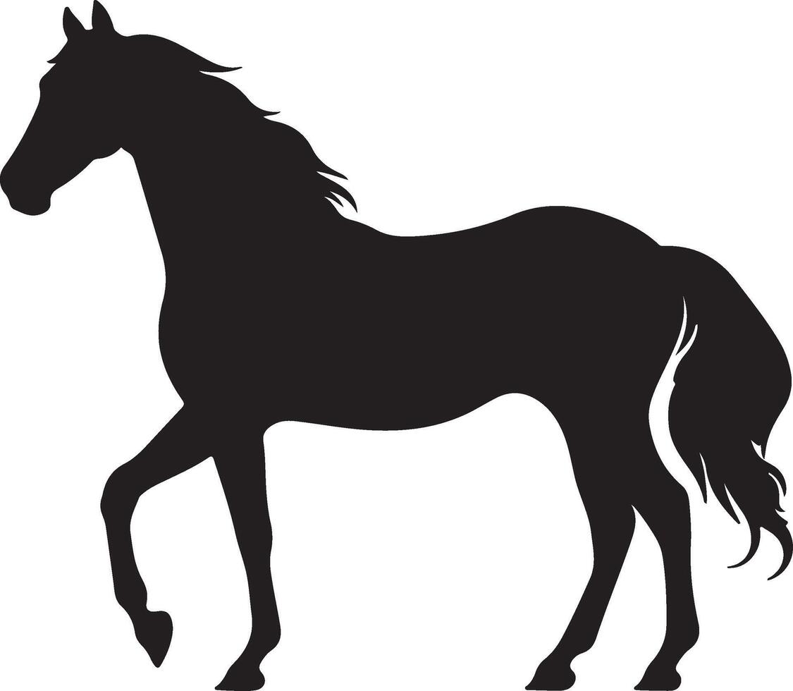 caballo silueta vector ilustración blanco antecedentes