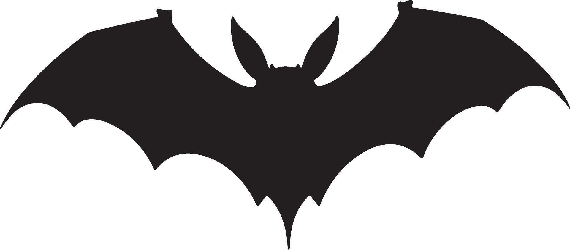 Bat Silhouette Vector Illustration White Background