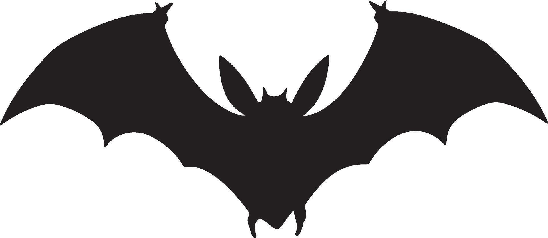 Bat Silhouette Vector Illustration White Background