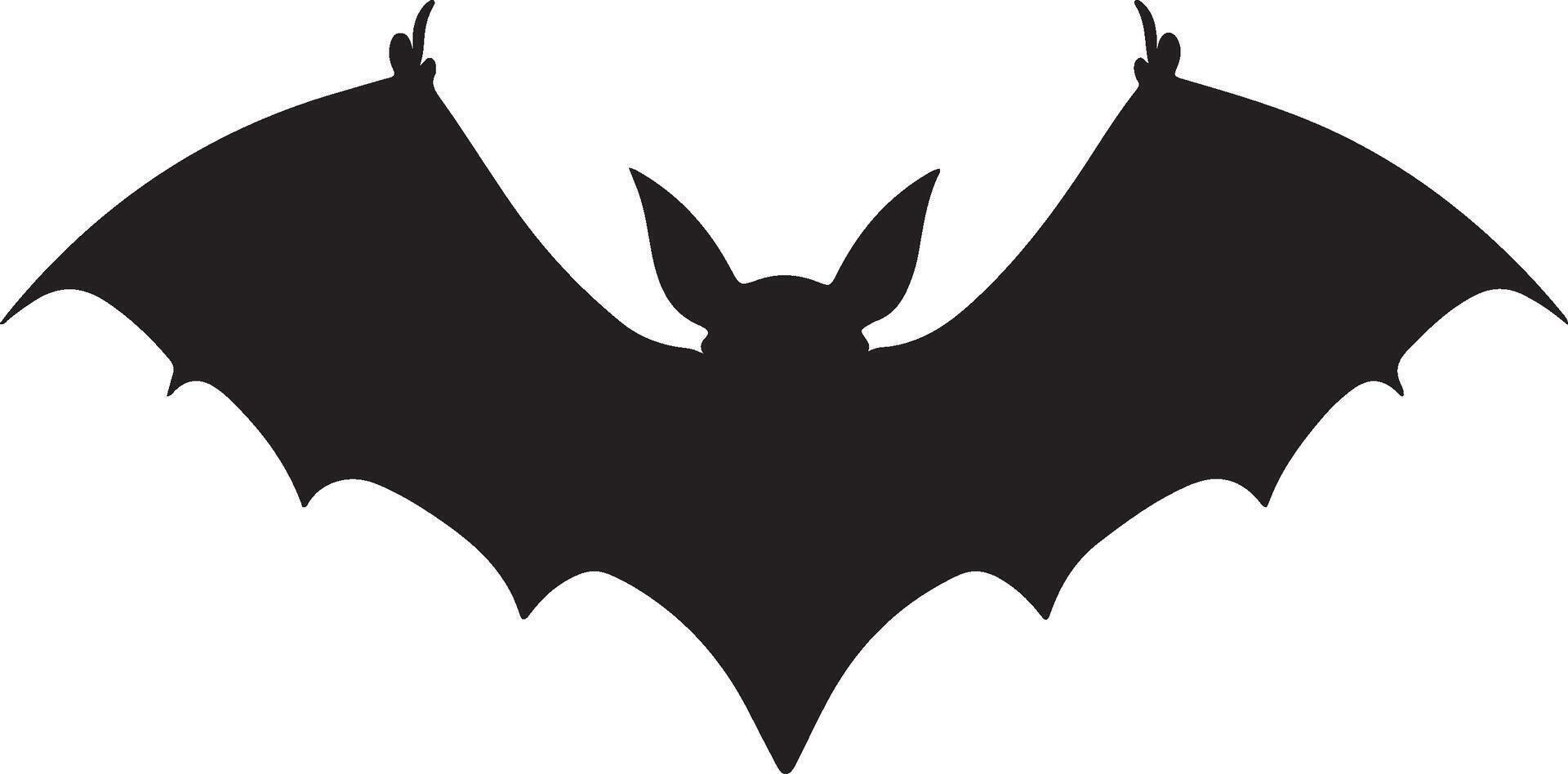 Bat Silhouette Vector Illustration White Background