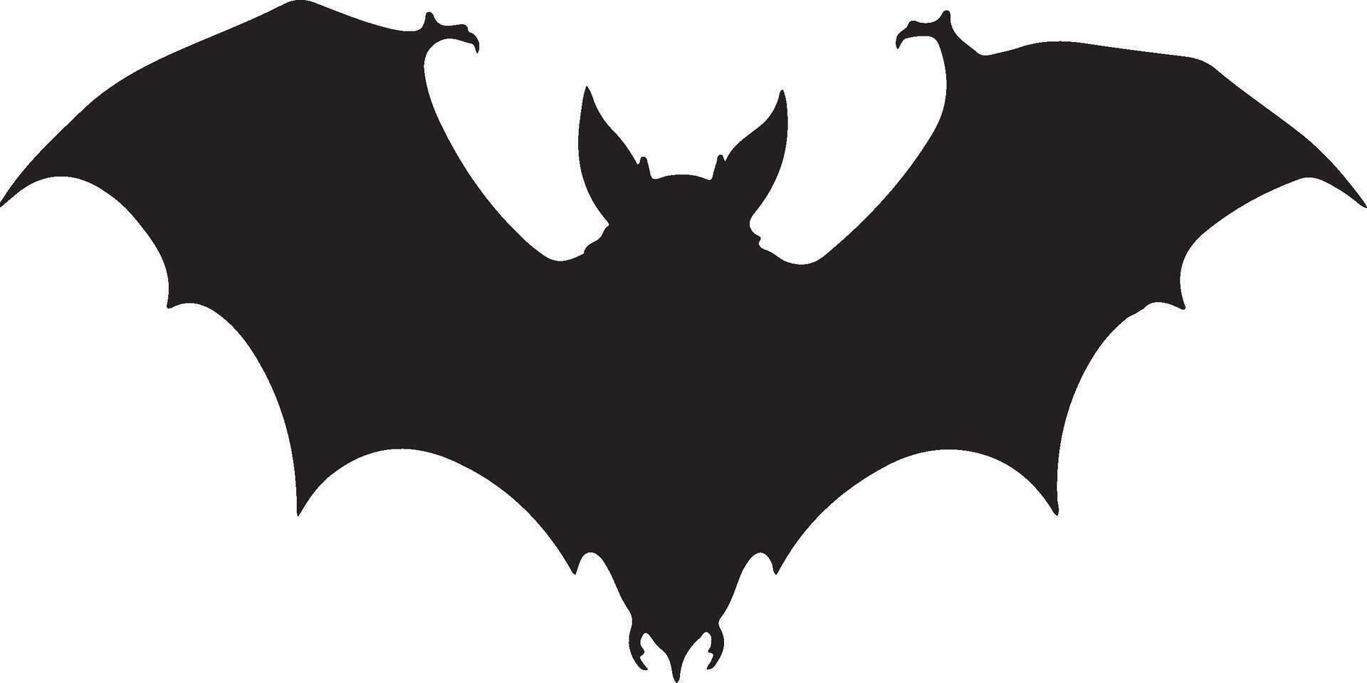 Bat Silhouette Vector Illustration White Background