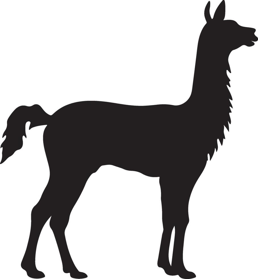 Llama Silhouette Vector Illustration White Background