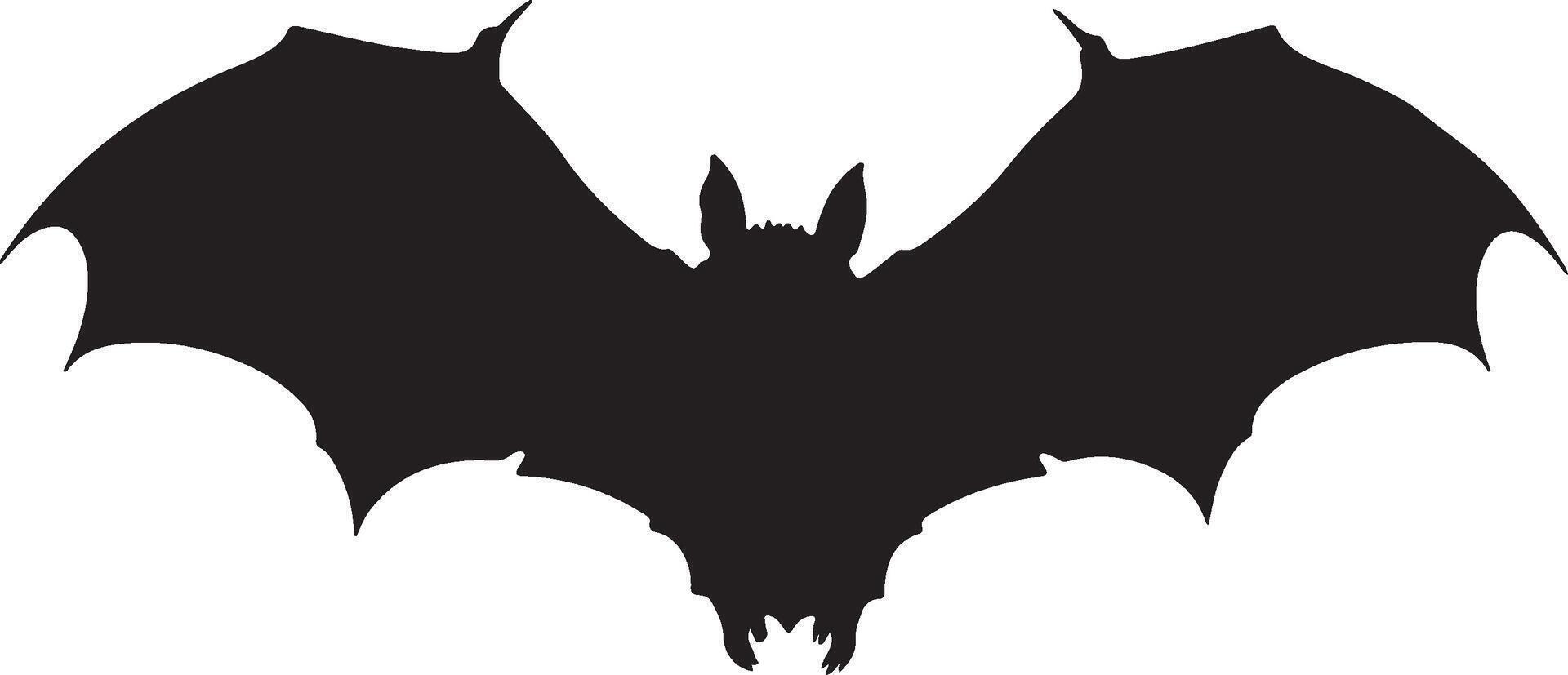 Bat Silhouette Vector Illustration White Background