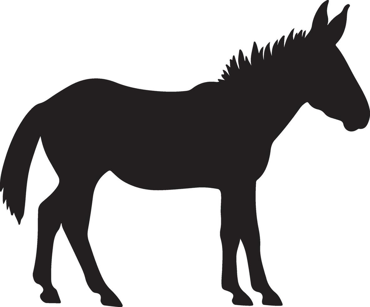 Burro silueta vector ilustración blanco antecedentes