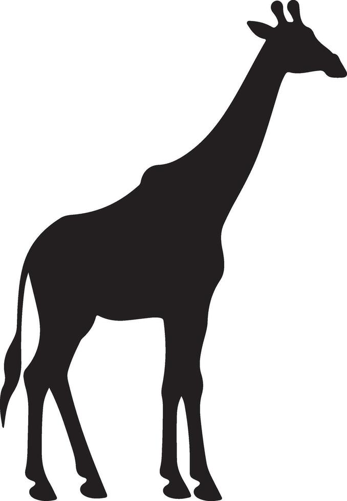 Giraffee Silhouette Vector Illustration White Background