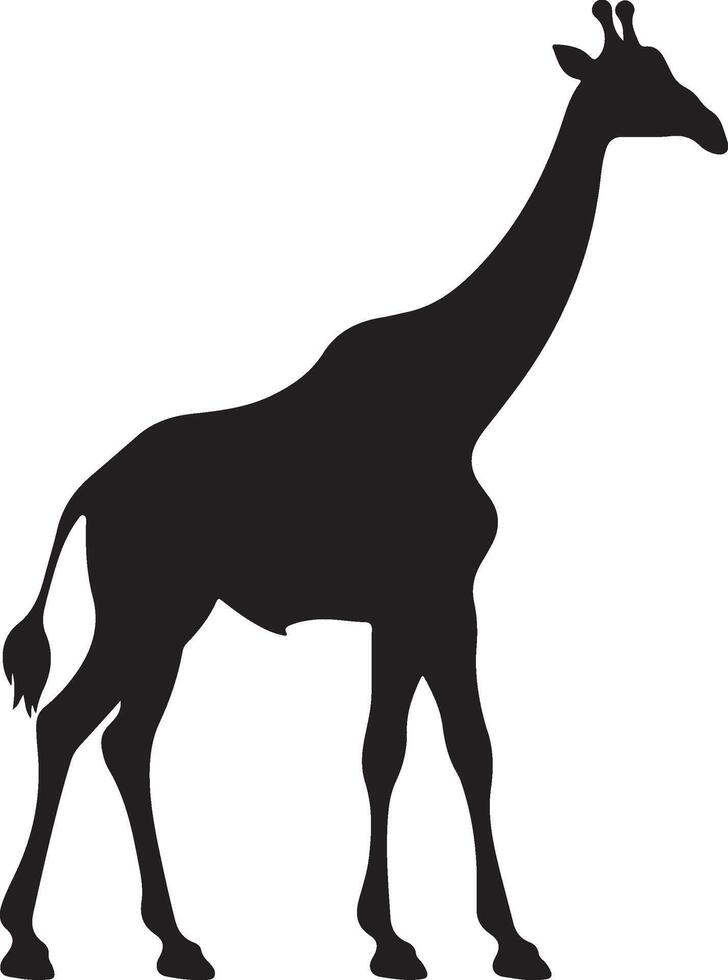 giraffee silueta vector ilustración blanco antecedentes