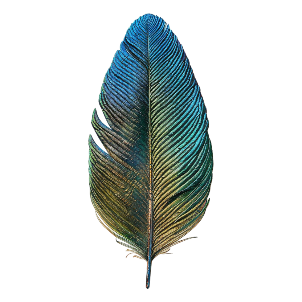 AI generated Peacock Bird Feather on Transparent background - Ai Generated png