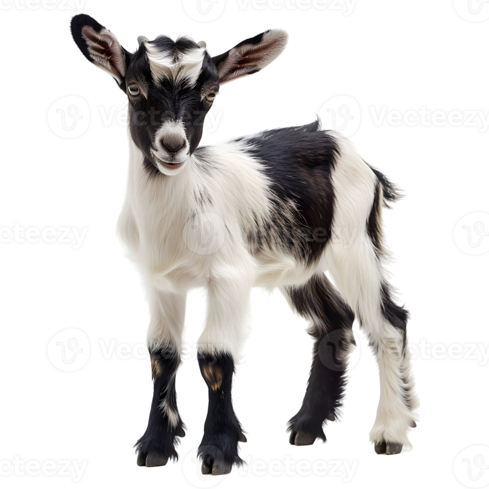 AI generated Young Goat on Transparent background - Ai Generated png