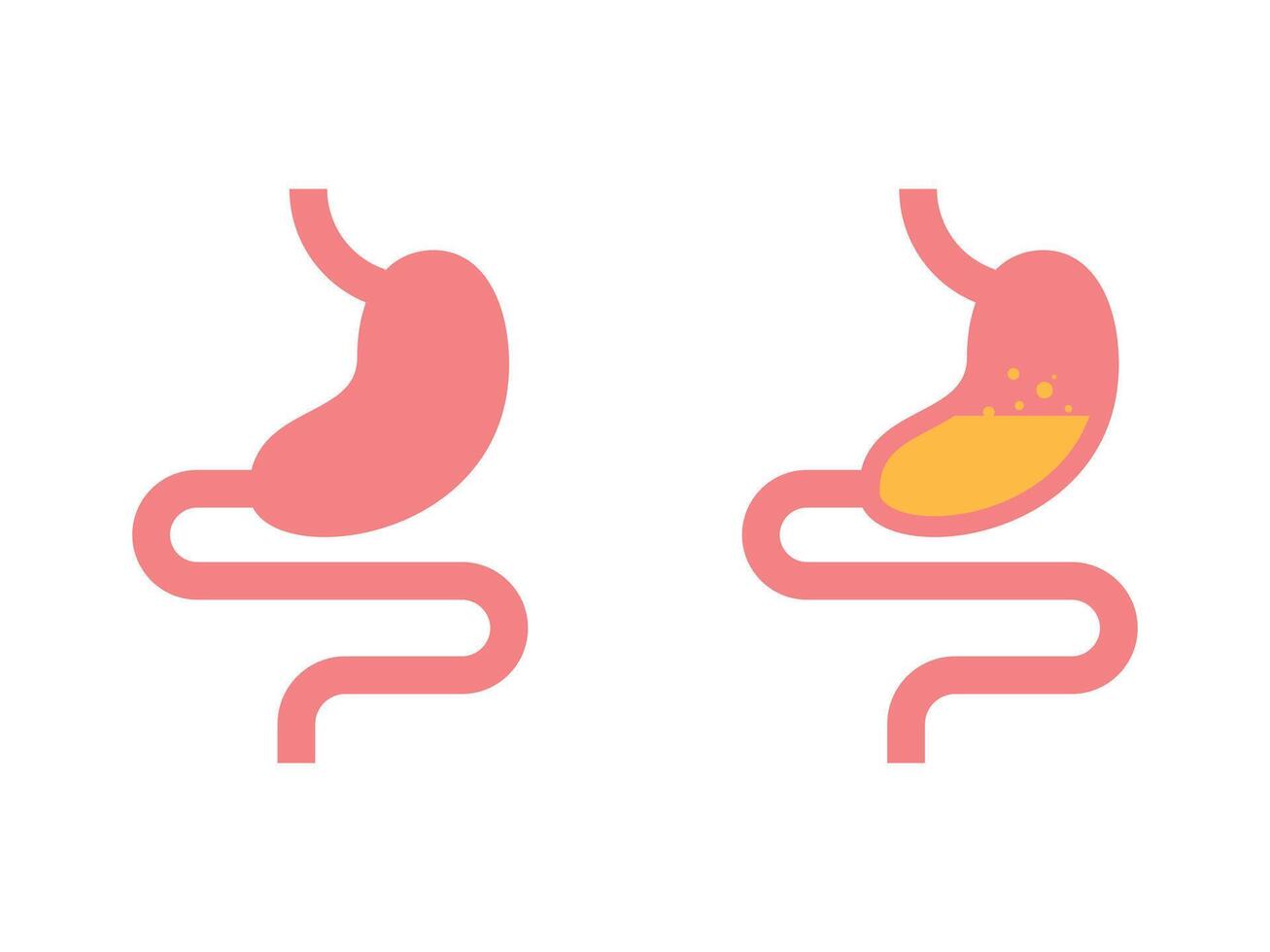 Stomach. Human internal organs. Gastrointestinal tract. guts vector