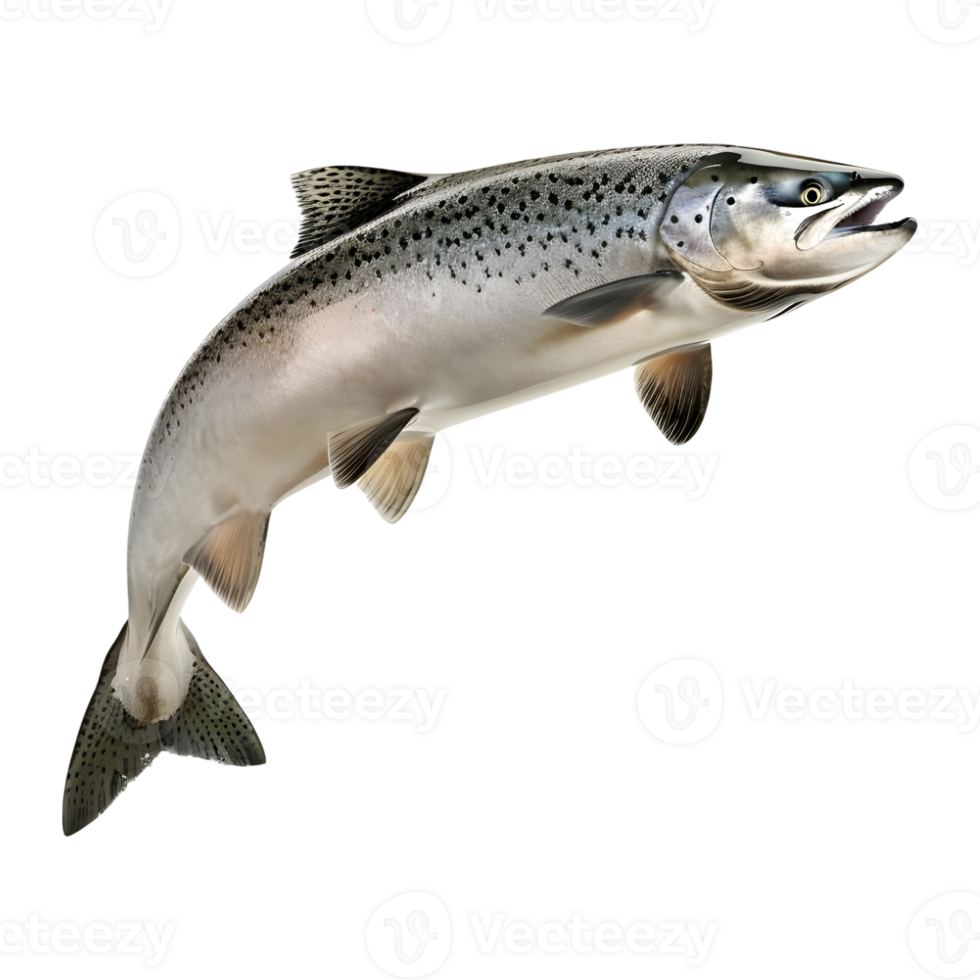 AI generated 3D Rendering of a Ocean Fish on Transparent Background - Ai Generated png