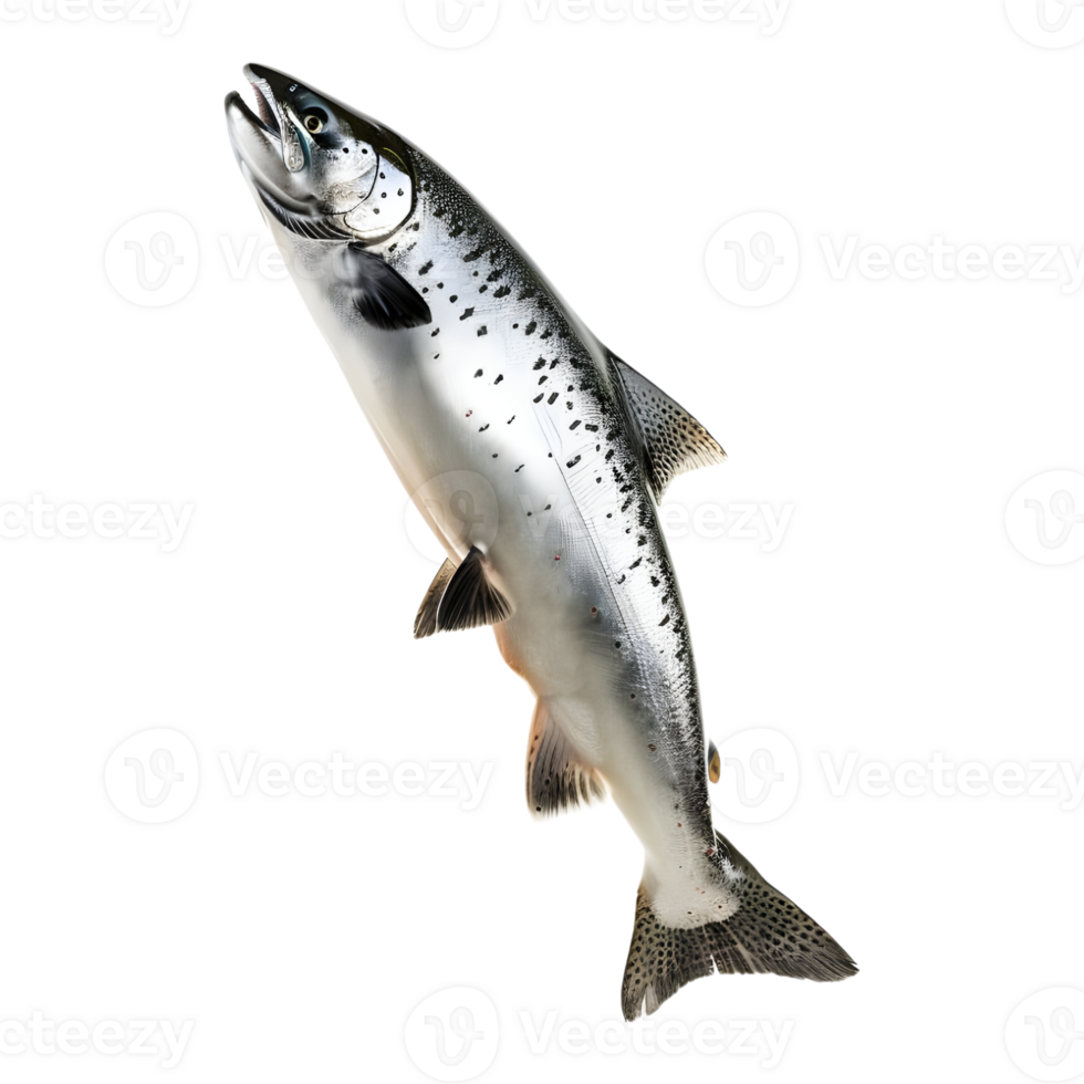 AI generated 3D Rendering of a Ocean Fish on Transparent Background - Ai Generated png