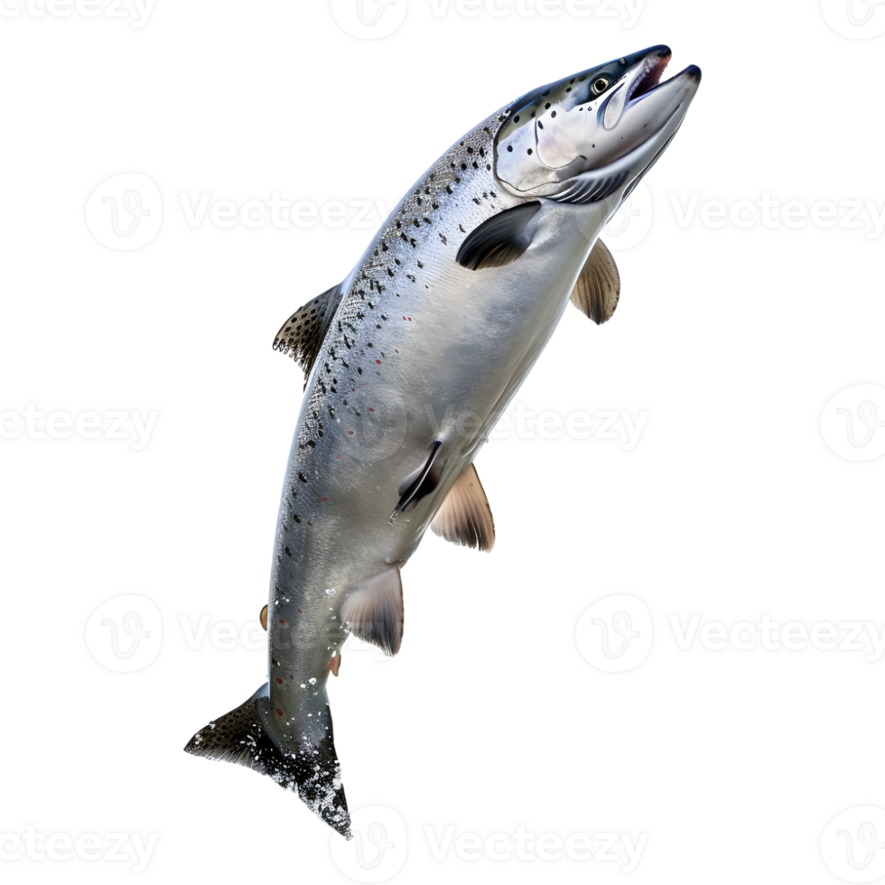 AI generated 3D Rendering of a Ocean Fish on Transparent Background - Ai Generated png