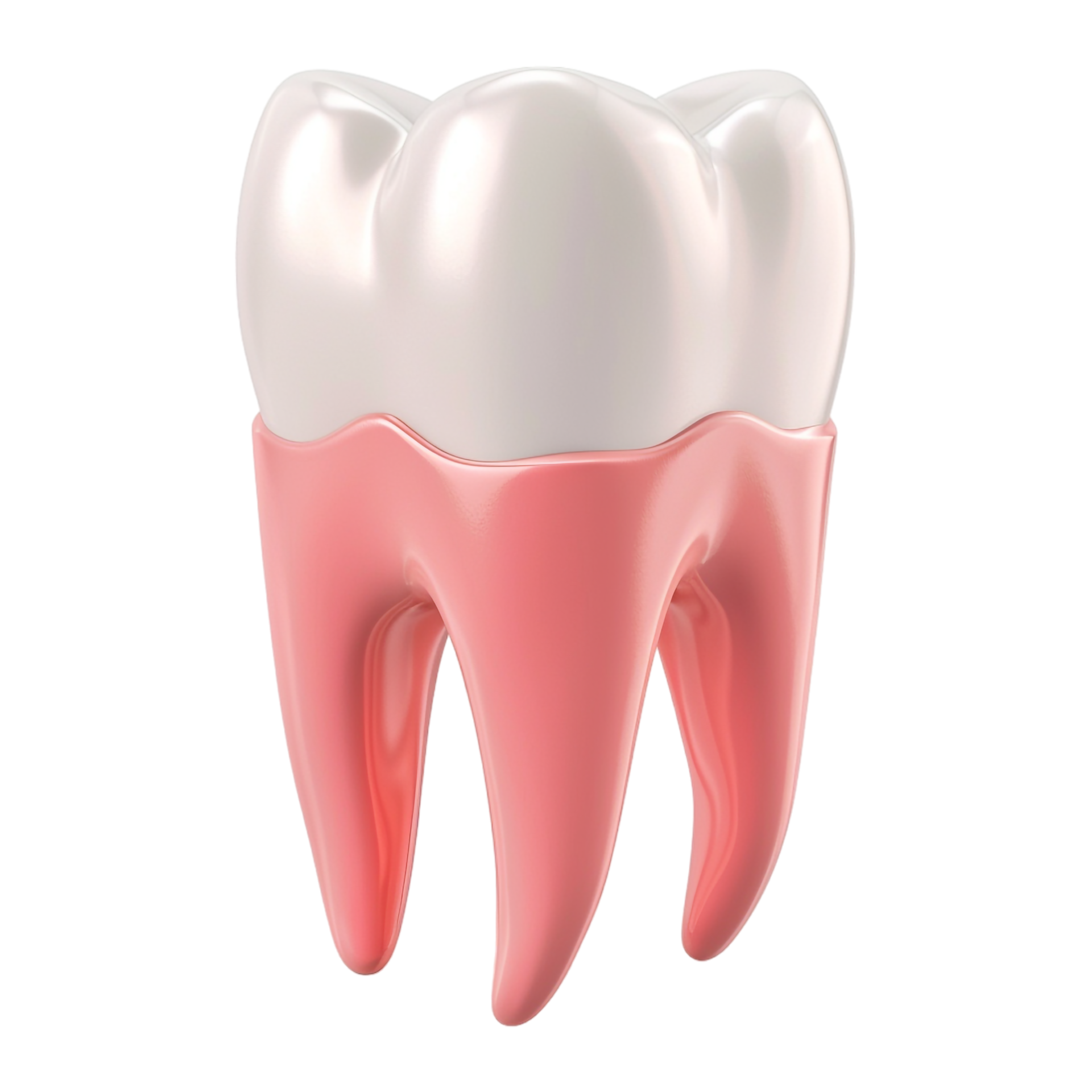 AI generated 3D Rendering of a Dental Human Teeth on Transparent Background Ai Generated