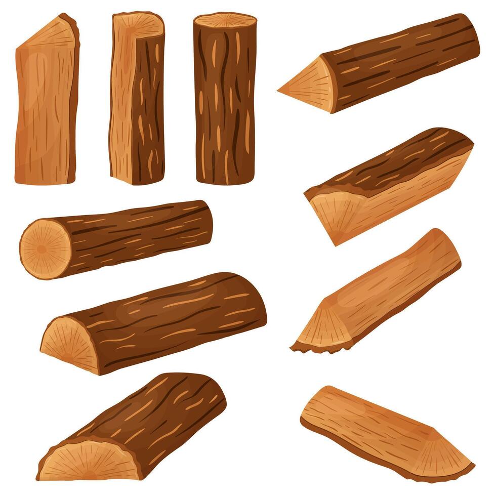 Raw materials for the woodworking industry. Tree trunk, logs, trunks, stumps, vector illustration.