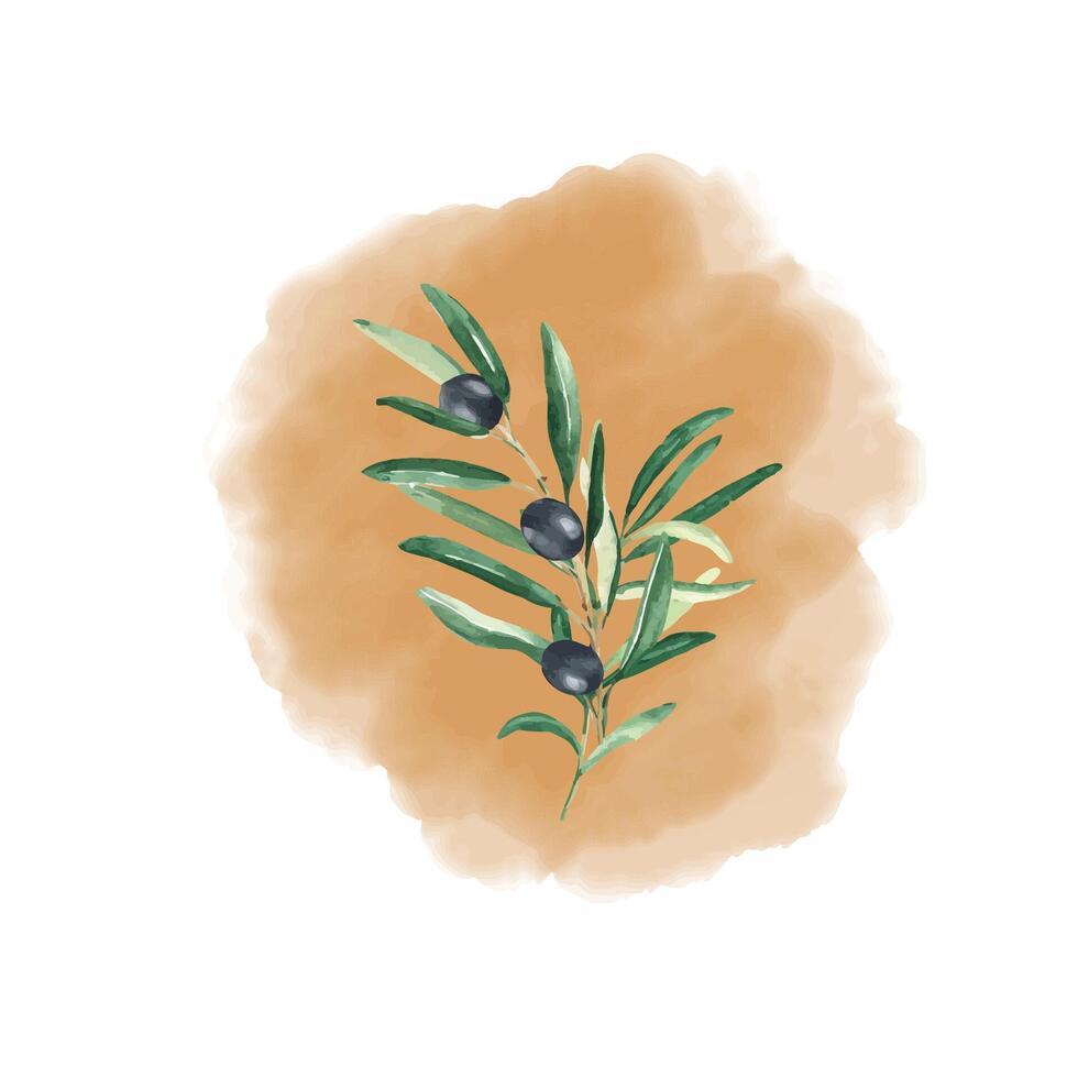 Olive branch with black olives isolated on ochre watercolor splash background. Hand drawn botanical illustration. Can be used for cards, posters, logos and food or cosmetic design vector