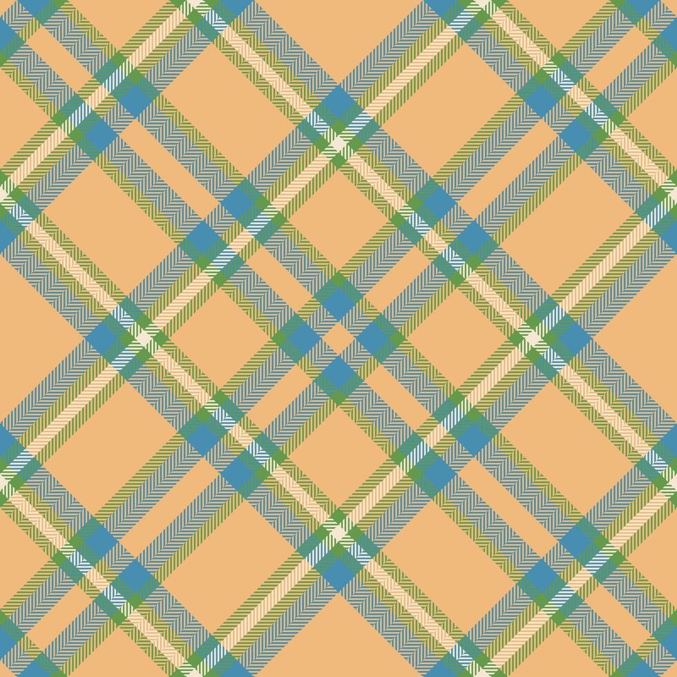 Plaid pattern vector. Check fabric texture. Seamless textile design for clothes, paper print. vector