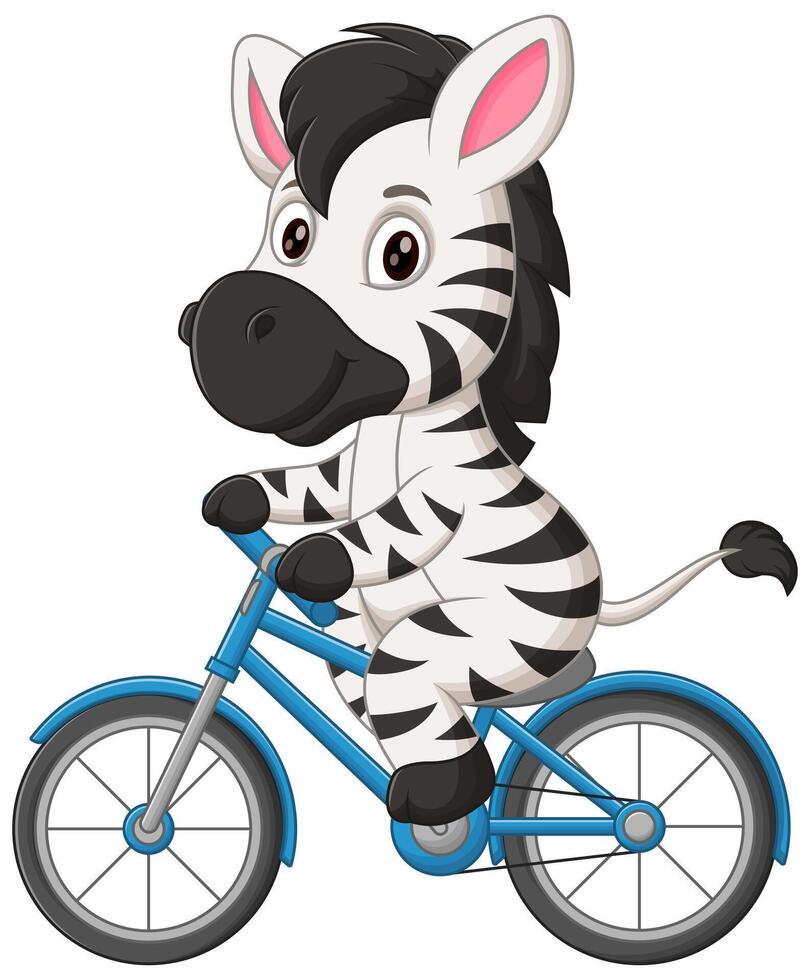 Cute Zebra Riding Bicycle Cartoon Vector Icon Illustration. Animal Sport Icon Concept Isolated Premium Vector