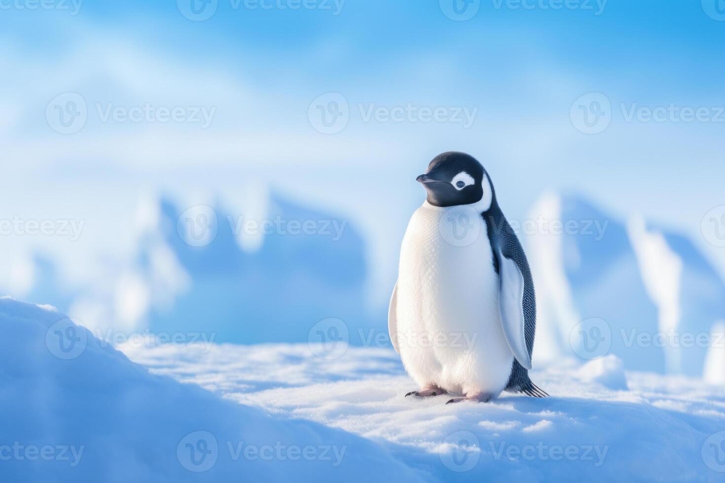AI generated Serene Penguin blue background. Generate Ai photo