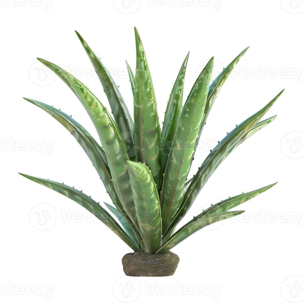 AI generated 3D Rendering of a Aloe Vera in a Pot on Transparent Background - Ai Generated png
