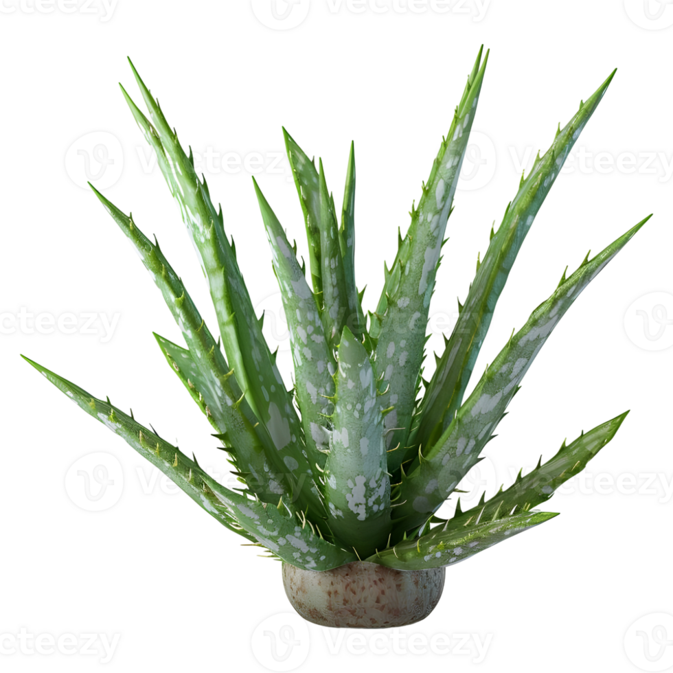 AI generated 3D Rendering of a Aloe Vera in a Pot on Transparent Background - Ai Generated png