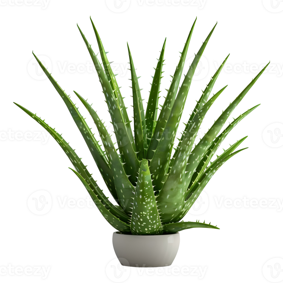 AI generated 3D Rendering of a Aloe Vera in a Pot on Transparent Background - Ai Generated png