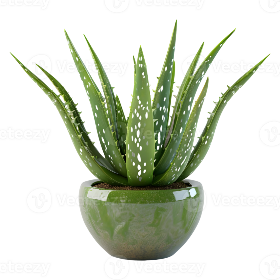 ai generato 3d interpretazione di un' aloe Vera nel un' pentola su trasparente sfondo - ai generato png