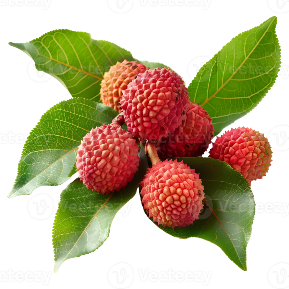 AI generated 3D Rendering of a Lychee with Leaves on Transparent Background - Ai Generated png