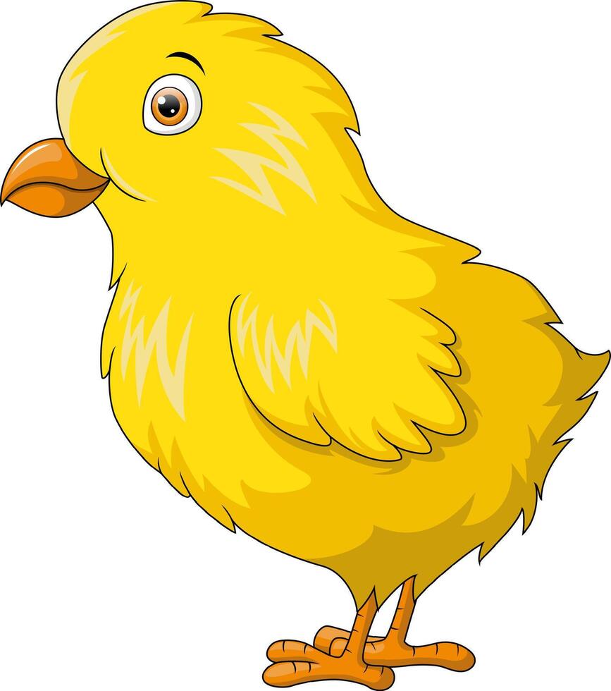 Cute little chick cartoon on white background vector