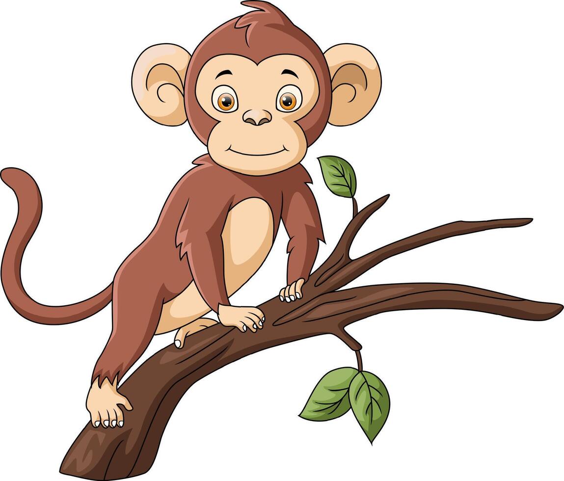 Cute monkey cartoon on tree branch vector