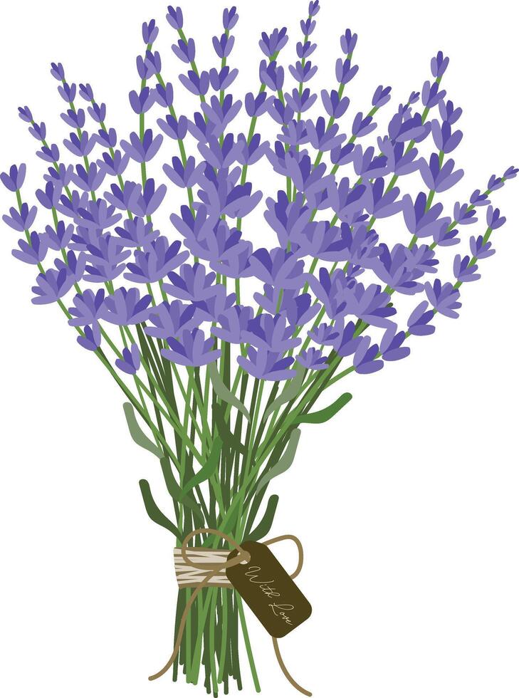 lavanda flores ramo de flores con amor mano dibujado elemento vector ilustración para Decorar invitación saludo cumpleaños fiesta celebracion Boda tarjeta póster bandera textil fondo de pantalla papel envolver antecedentes