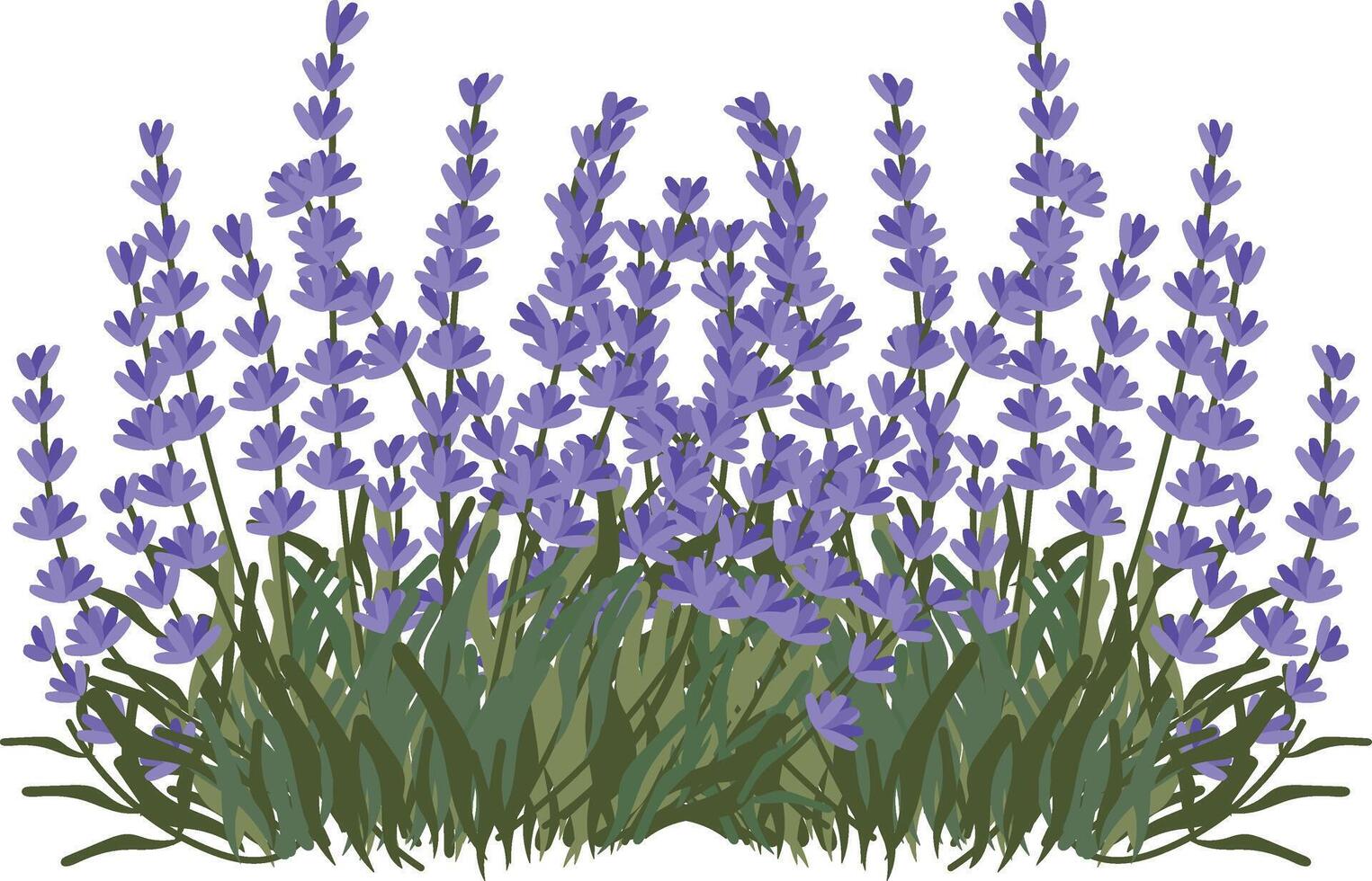 lavanda campo mano dibujado clipart vector ilustración para Decorar invitación saludo cumpleaños fiesta celebracion Boda tarjeta póster bandera textil fondo de pantalla papel envolver antecedentes