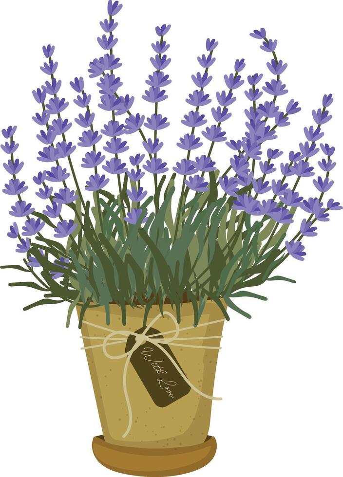 Lavender flowers plant in pot handrawn element clipart vector illustration for decorate invitation greeting birthday party celebration wedding card poster banner background