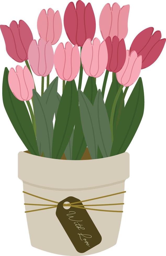 pink tulip flowers plant in pot with love element clipart hand drawn vector illustration for decorate invitation greeting birthday party celebration wedding card poster banner background