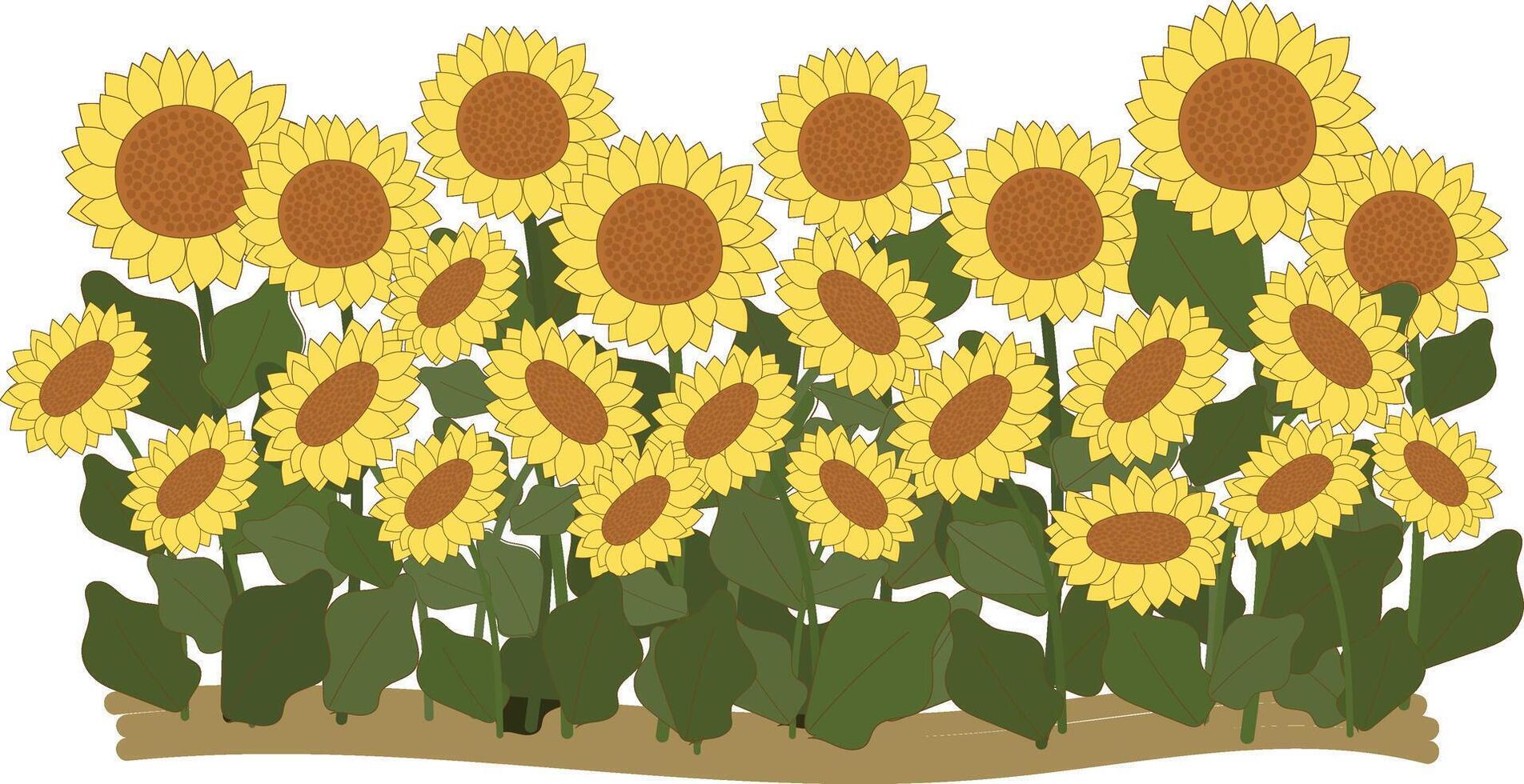 sunflowers plant field  clipart hand drawn element vector illustration for decorate invitation greeting birthday party celebration wedding card poster banner textile wallpaper paper wrap background